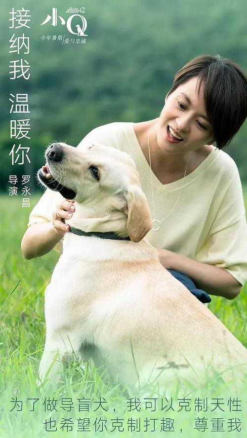 领不动产证需要带什么证件